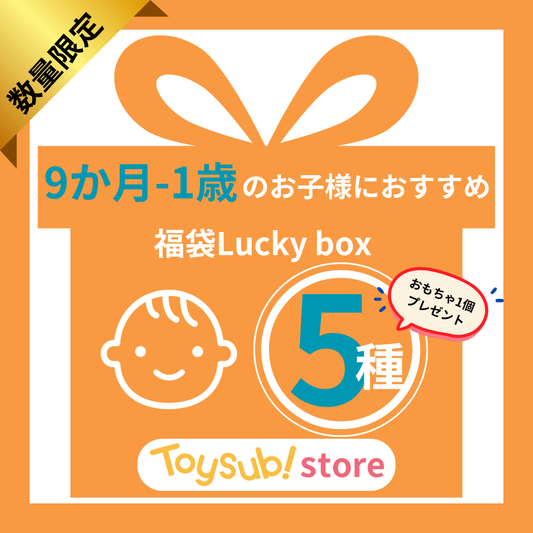 ✨選べる!+1  おもちゃ1個プレゼント✨   0歳9か月~1歳 知育玩具 福袋 [中古] おもちゃ  Lucky boxF【お楽しみ5種】