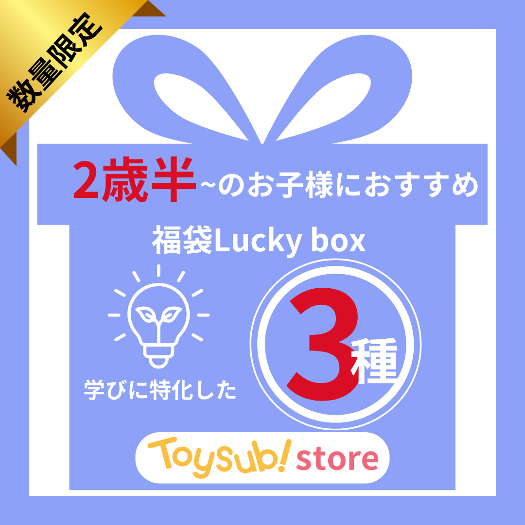 ✨福袋✨【数量限定！】2歳半～のお子様におすすめの学びに特化したLucky box【お楽しみ3種】