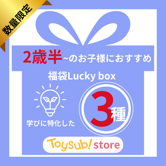 ✨福袋✨【数量限定！】2歳半～のお子様におすすめの学びに特化したLucky box【お楽しみ3種】
