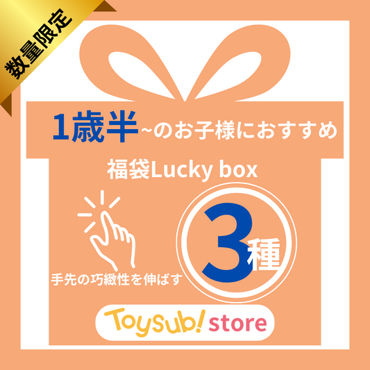 ✨福袋✨【数量限定！】1歳半頃からおすすめ☆手先の巧緻性を伸ばすおもちゃセット【お楽しみ3種】