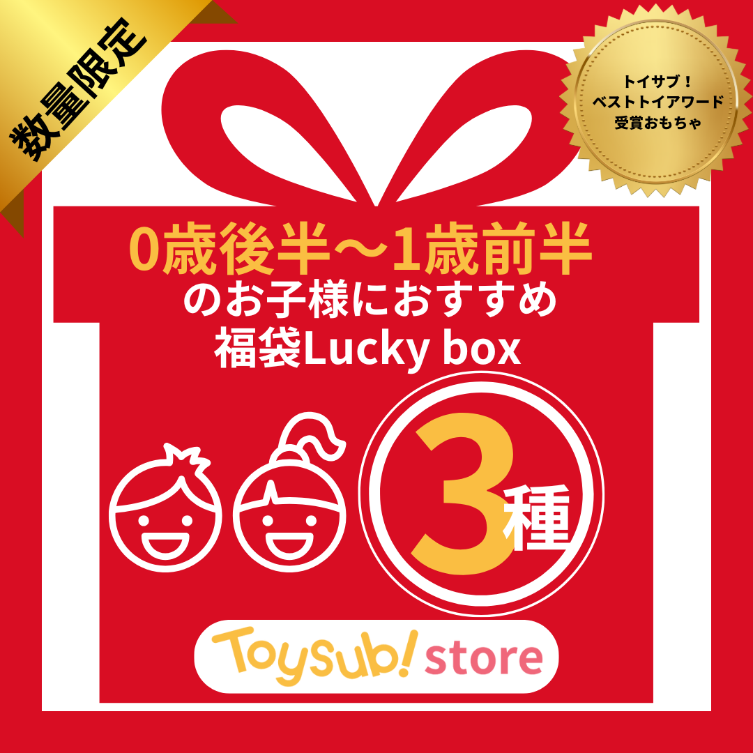 ✨福袋✨【数量限定！】トイサブ！ベストトイアワード受賞おもちゃ♪0歳後半～1歳前半のお子様におすすめのLucky box【お楽しみ3種】