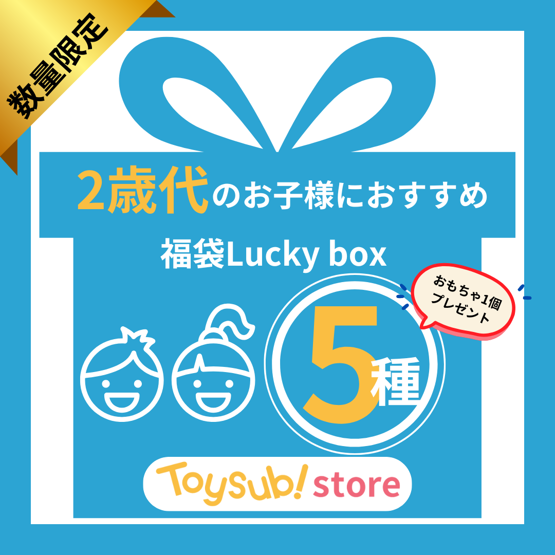 ✨選べる!+1  おもちゃ1個プレゼント✨　2歳代 知育玩具 福袋 [中古] おもちゃ  Lucky boxL【お楽しみ5種】