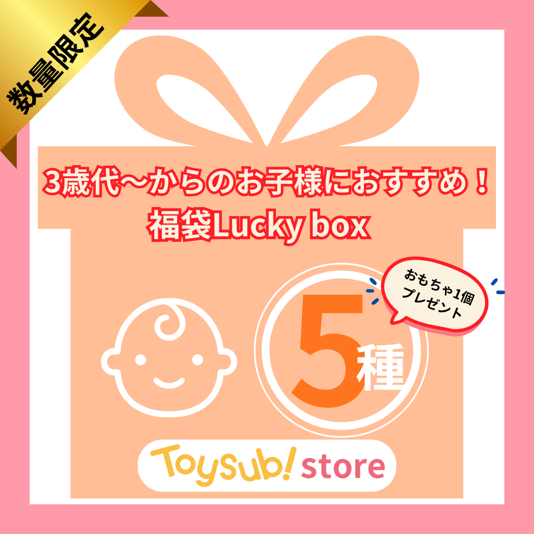 ✨選べる!+1  おもちゃ1個プレゼント✨　3歳代から　知育玩具 福袋 [中古] おもちゃ  Lucky boxN【お楽しみ5種】