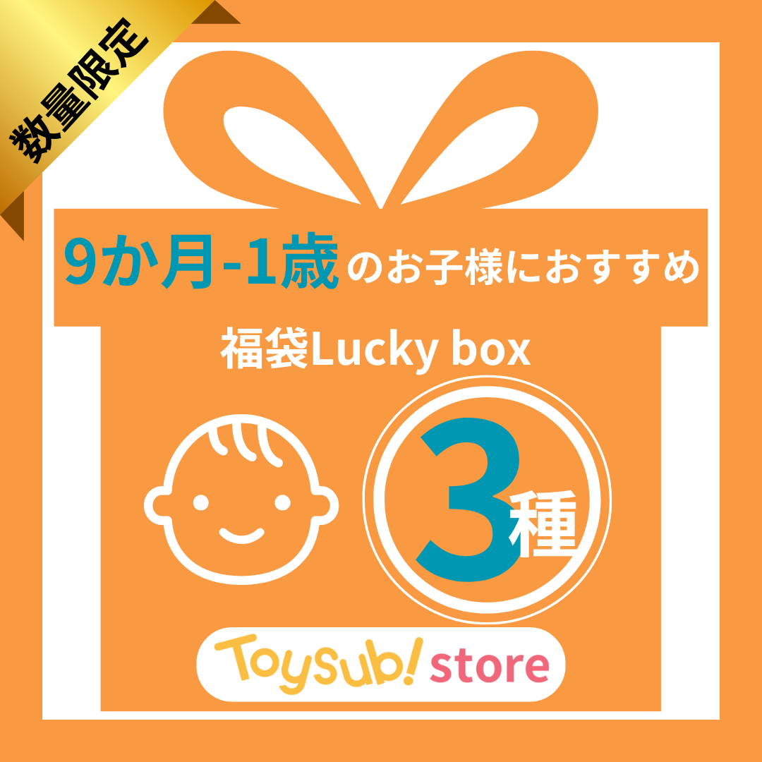 ✨福袋✨【数量限定！】0歳9か月~1歳のお子様におすすめのLucky boxE【お楽しみ3種】