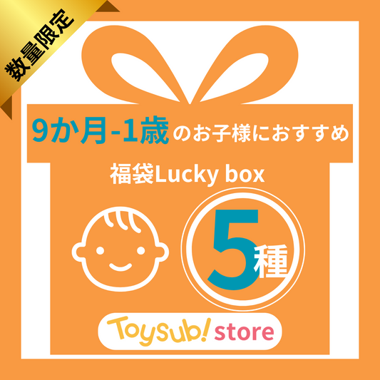 ✨福袋✨【数量限定！】0歳9か月~1歳のお子様におすすめのLucky boxF【お楽しみ5種】