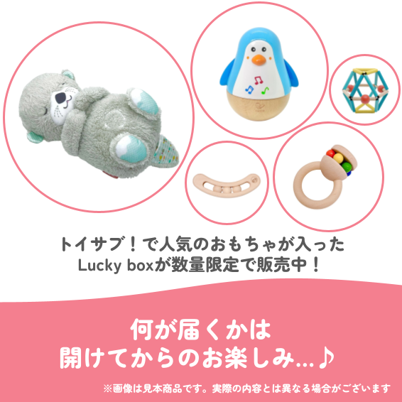 ✨福袋✨【数量限定！】0歳3か月~0歳5か月のお子様におすすめのLucky boxB【お楽しみ5種】