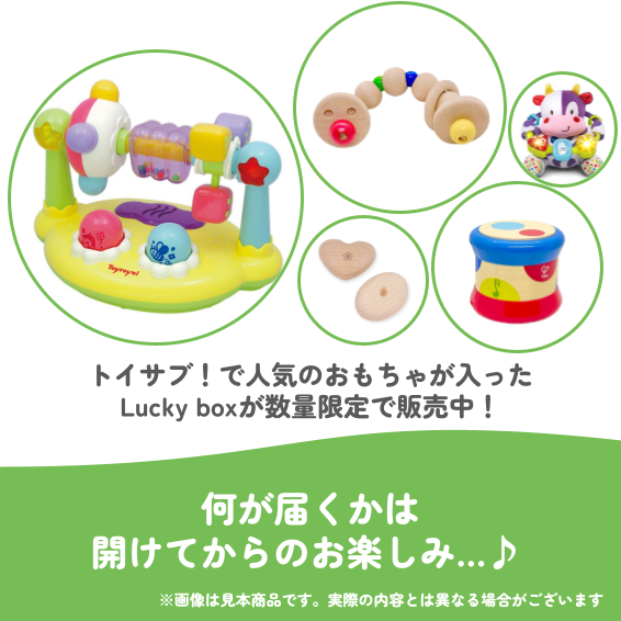 ✨福袋✨【数量限定！】0歳6か月~0歳8か月のお子様におすすめのLucky boxD【お楽しみ5種】