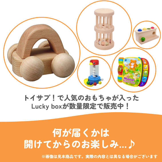 ✨福袋✨【数量限定！】0歳9か月~1歳のお子様におすすめのLucky boxF【お楽しみ5種】