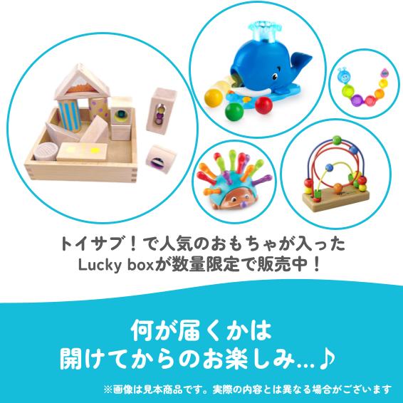 ✨福袋✨【数量限定！】1歳1か月~1歳6か月のお子様におすすめのLucky boxH【お楽しみ5種】