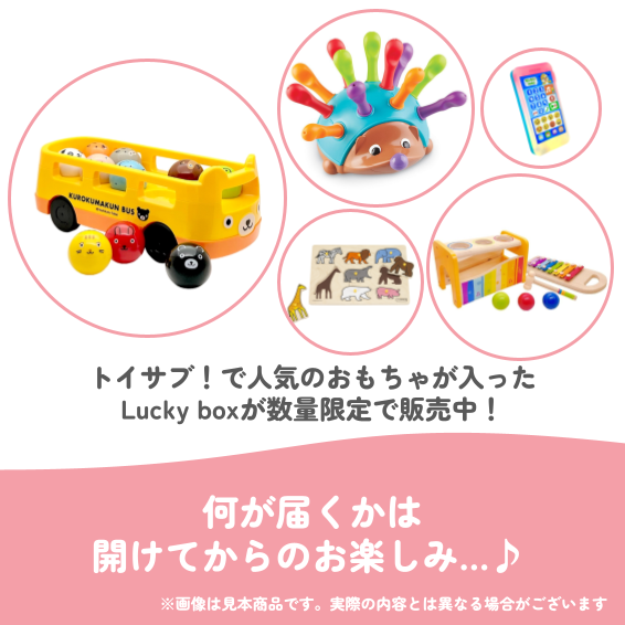 ✨福袋✨【数量限定！】1歳7か月~1歳11か月のお子様におすすめのLucky boxJ【お楽しみ5種】