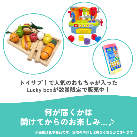 ✨福袋✨【数量限定！】ごっこ遊びが大好きなお子様におすすめのLucky box【お楽しみ3種】