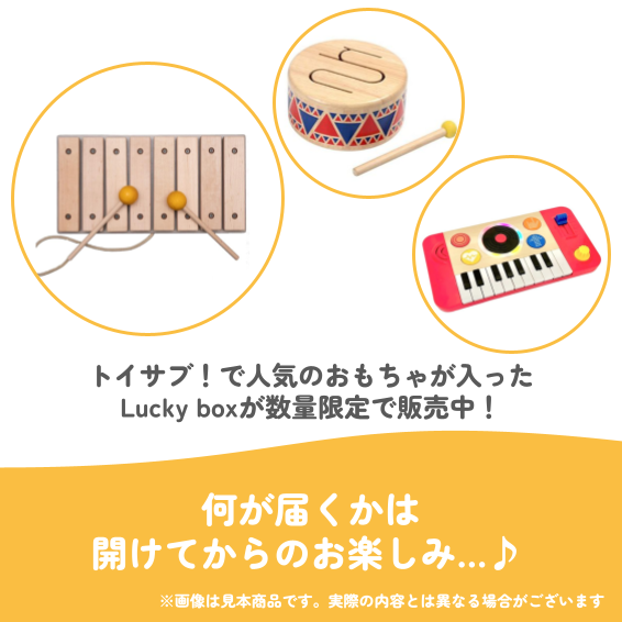 ✨福袋✨【数量限定！】1歳半から楽しめる音あそびが好きなお子様におすすめのLucky box【お楽しみ3種】