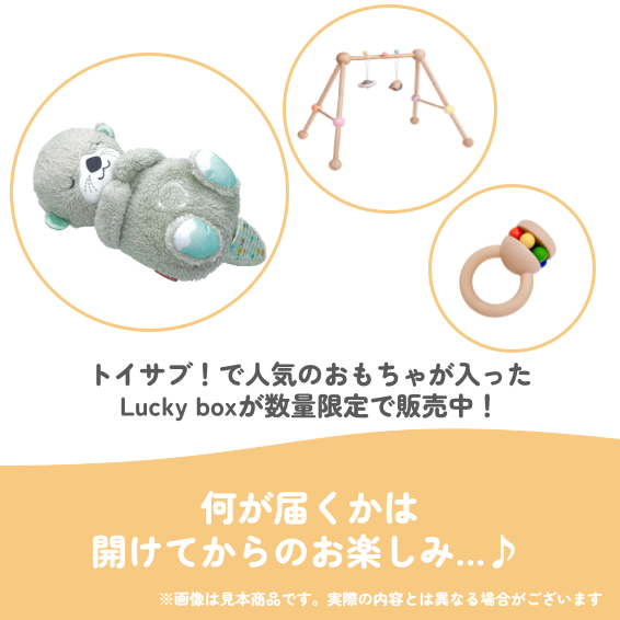 ✨福袋✨【数量限定！】生まれたてベビーにおすすめのLucky box【ファーストトイお楽しみ3種】