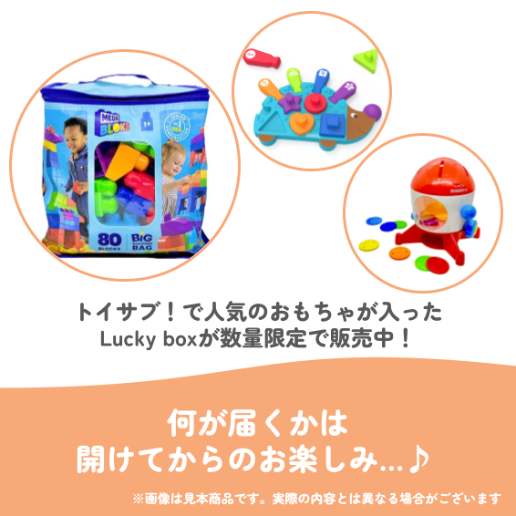 ✨福袋✨【数量限定！】1歳半頃からおすすめ☆手先の巧緻性を伸ばすおもちゃセット【お楽しみ3種】