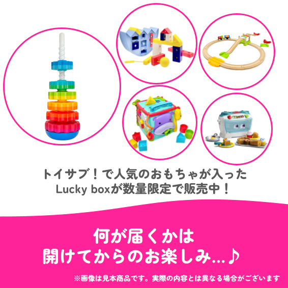 ✨福袋✨【数量限定！】1歳半~2歳代のお子様におすすめのLucky big box【お楽しみ8種】