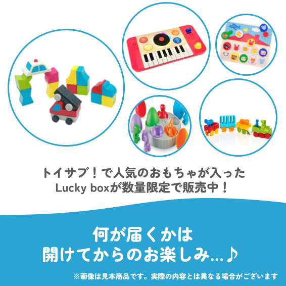 ✨福袋✨【数量限定！】2歳代のお子様におすすめのLucky boxL【お楽しみ5種】