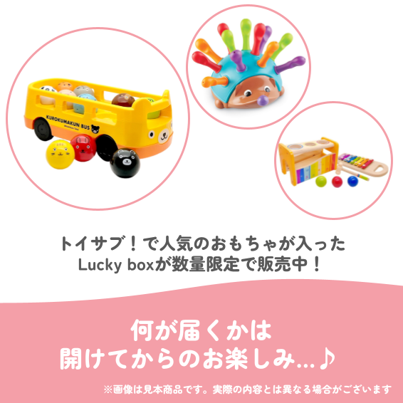 ✨福袋✨【数量限定！】1歳7か月~1歳11か月のお子様におすすめのLucky boxI【お楽しみ3種】