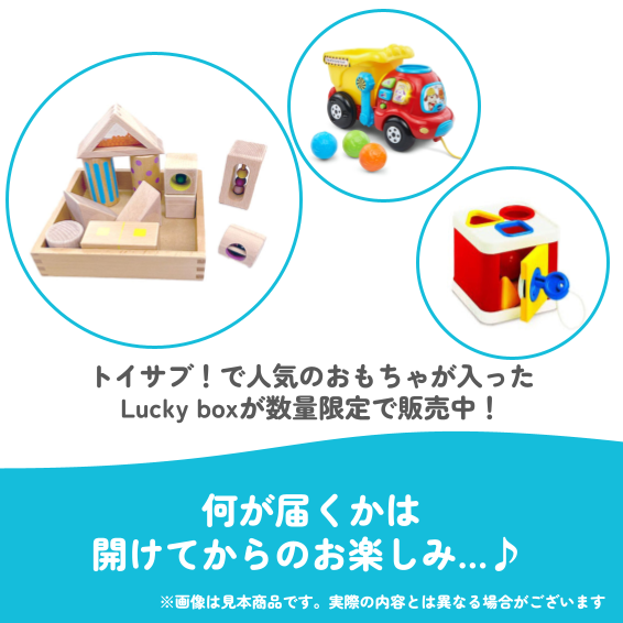 ✨福袋✨【数量限定！】1歳1か月~1歳6か月のお子様におすすめのLucky boxG【お楽しみ3種】