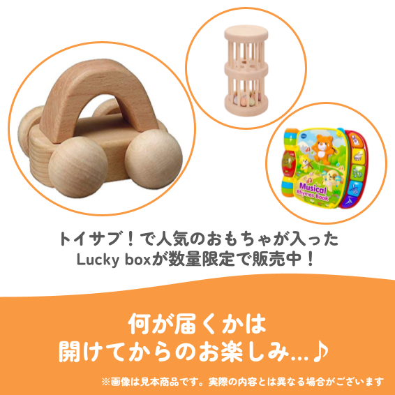 ✨福袋✨【数量限定！】0歳9か月~1歳のお子様におすすめのLucky boxE【お楽しみ3種】