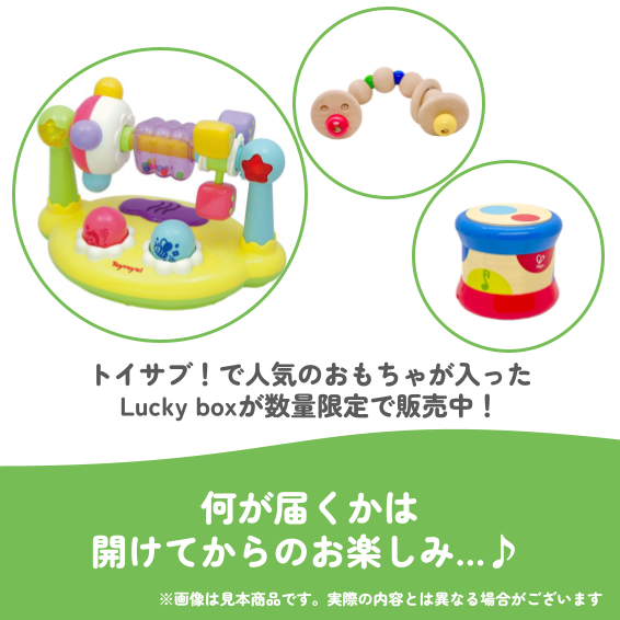 ✨福袋✨【数量限定！】0歳6か月~0歳8か月のお子様におすすめのLucky boxC【お楽しみ3種】