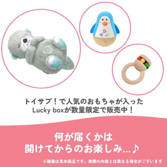 ✨福袋✨【数量限定！】0歳3か月~0歳5か月のお子様におすすめのLucky boxA【お楽しみ3種】