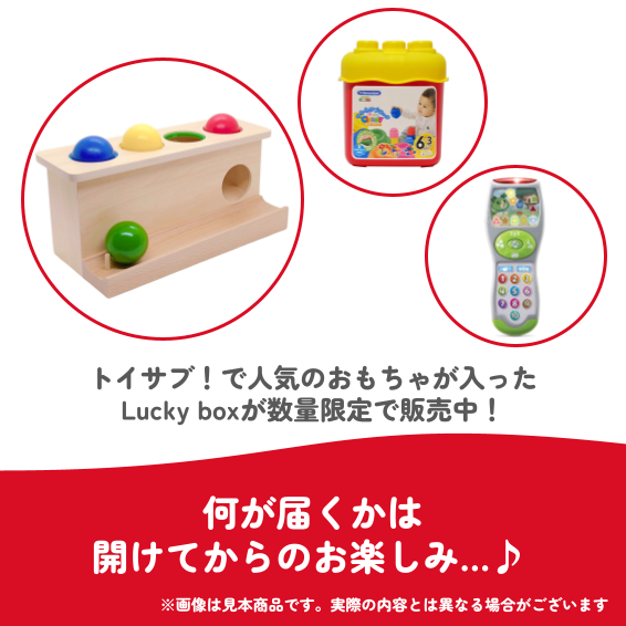 ✨福袋✨【数量限定！】トイサブ！ベストトイアワード受賞おもちゃ♪0歳後半～1歳前半のお子様におすすめのLucky box【お楽しみ3種】