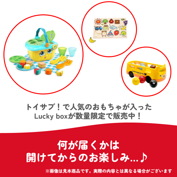 ✨福袋✨【数量限定！】トイサブ！ベストトイアワード受賞おもちゃ♪1歳～2歳のお子様におすすめのLucky box【お楽しみ3種】
