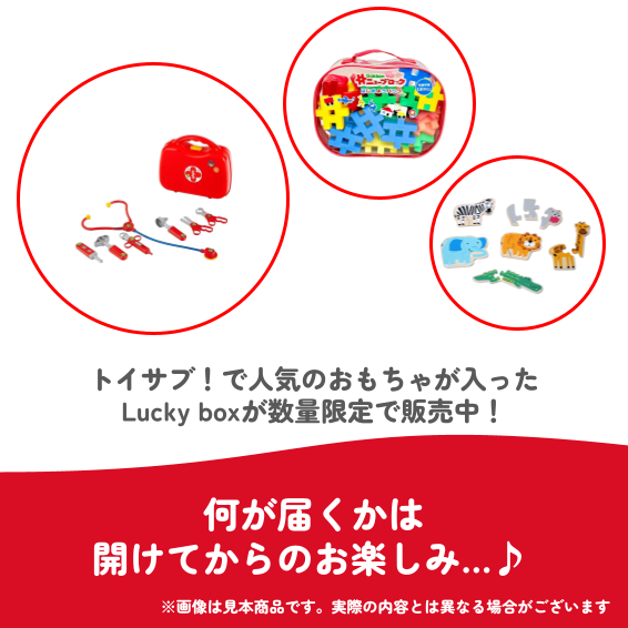 ✨福袋✨【数量限定！】トイサブ！ベストトイアワード受賞おもちゃ♪2歳ごろからのお子様におすすめのLucky box【お楽しみ3種】